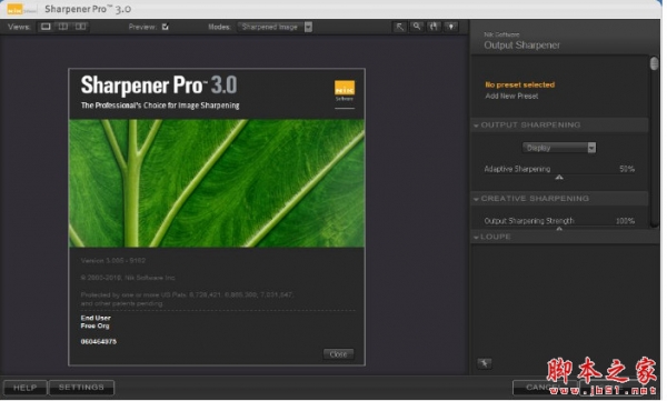 Sharpener Pro 3(PS锐化滤镜) v3.0 汉化激活版(附教程)